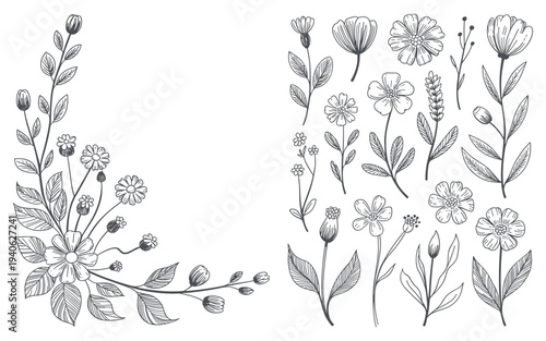 Beautiful floral illustrations for elegant designs and decorations