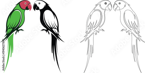 Colorful parrot illustration with monochrome counterpart