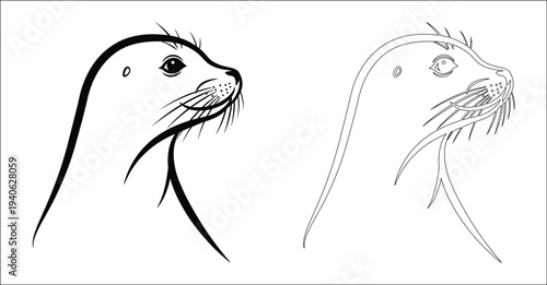 A sketch of a seal and another animal with detailed facial features and body outlines