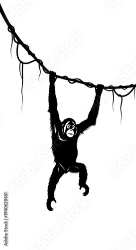 Black silhouette of orangutan hanging from jungle vine, wild ape swinging on liana branch, tropical primate vector illustration on white background