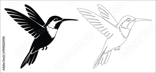 Black and white illustration of two hummingbirds in flight facing right