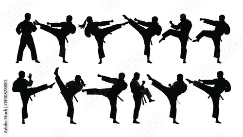 A group of people performing various martial arts kicks