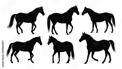 A group of black horse silhouettes walking