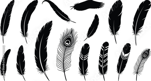 Silhouette of various feathers in different shapes and sizes