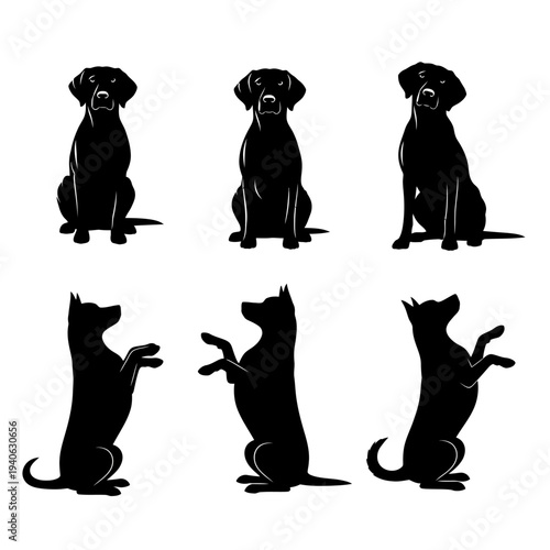 Black labrador retriever dog silhouettes set, 6 vector pet icons in sitting and begging poses, canine animal breed profile graphics