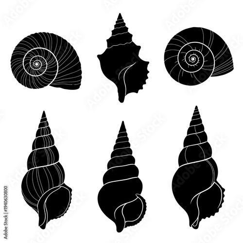Black seashell silhouettes collection, 6 sea shell vector icons, nautical marine life illustrations, spiral conch and snail shell shapes