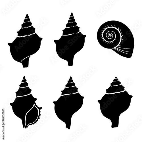 Black seashell silhouettes collection, 6 sea shell vector icons, nautical beach mollusk shapes, marine life decorative elements for summer design