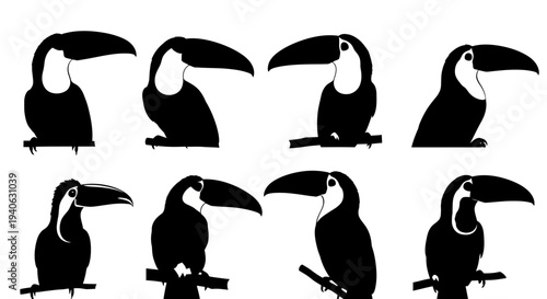 Toucan bird silhouette collection, set of 8 tropical bird vector icons, black and white exotic toucan profiles for wildlife design and logos