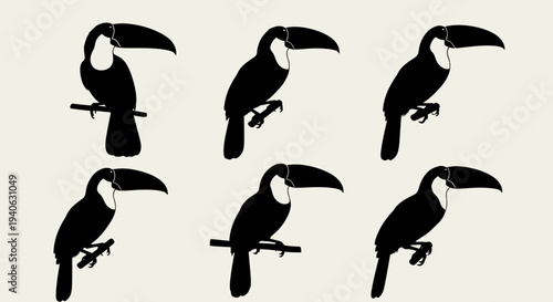 Black toucan silhouette collection, set of 6 tropical bird vector icons, exotic jungle wildlife illustrations for nature branding and logo design