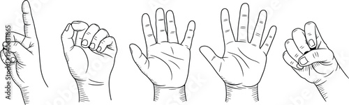 Hand counting gestures set showing numbers with fingers, human hand signals isolated line art vector illustration collection