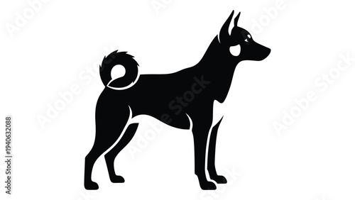 A black dog standing on four legs looking to the right