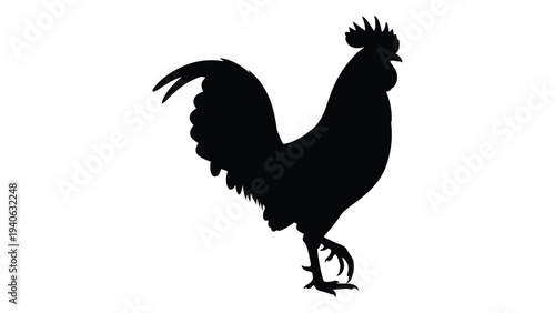 A black silhouette of a rooster standing on one leg