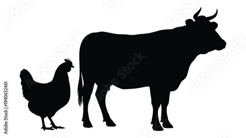 A cow and a chicken standing side by side