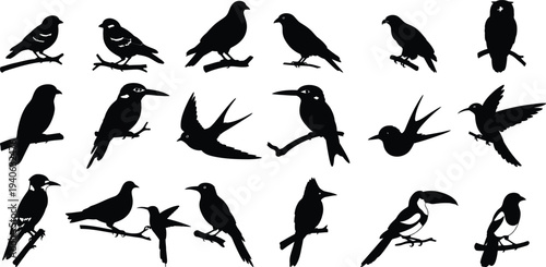 Collection of various bird silhouettes in different poses and shapes showcasing unique features silhouette
