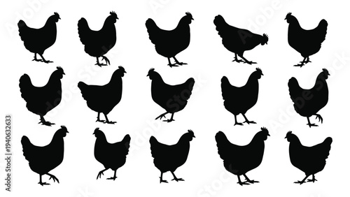 A group of black chickens standing in rows