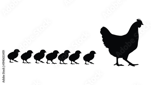 A large hen leads a group of chicks in a line