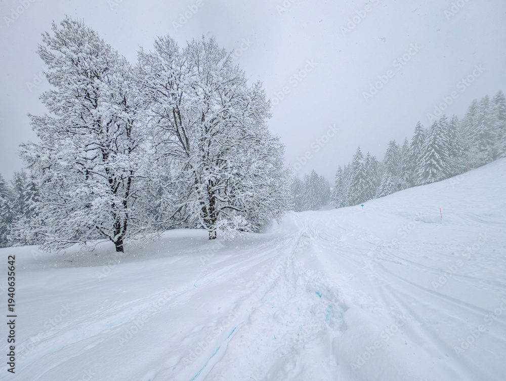 Obraz premium Cordon Ski Slopes Winter Alpine Landscape