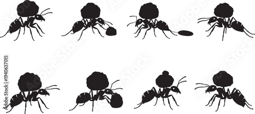 Ants carrying objects in various poses and actions, depicted in silhouette against a plain background from a direct viewpoint