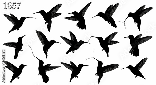 Set of 15 Black Hummingbird Silhouettes Vector Illustration for Nature, Wildlife, and Birdwatching Designs, Isolated on White Background