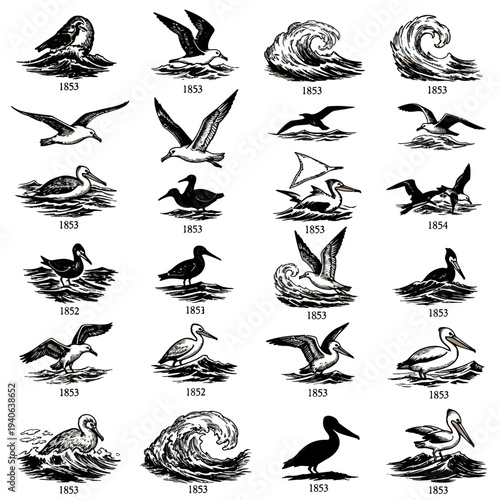 Vintage Engraved Sea Birds and Ocean Waves Vector Set - Hand-Drawn Black and White Marine Life Illustrations for Nautical Designs