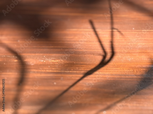A wooden surface with a shadow of a person's arm on it