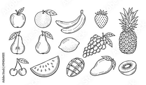 Hand Drawn Fruit Collection Black and White Vector Illustration Set Isolated on White