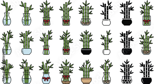 Collection of diverse lucky bamboo plant arrangements in vases and pots isolated on transparent background