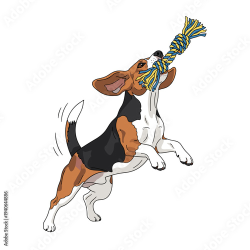Beagle jumping and playing with a rope toy illustration