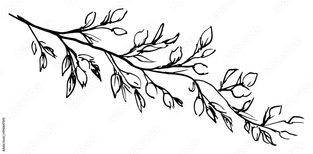 Obraz premium Hand drawn sketch of a leafy branch in black and white line art