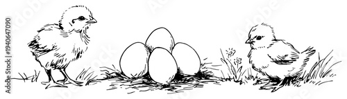 Sketch illustration of two cute baby chicks looking at easter eggs in spring grass