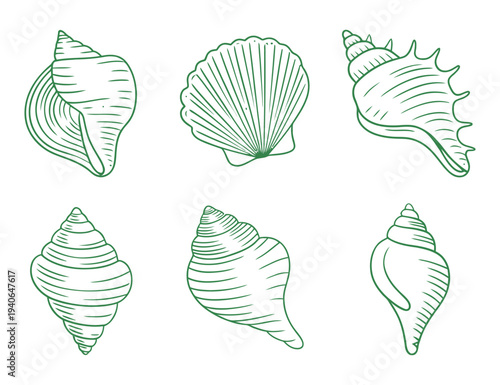 Set of Six Seashell Line Drawings on White Background