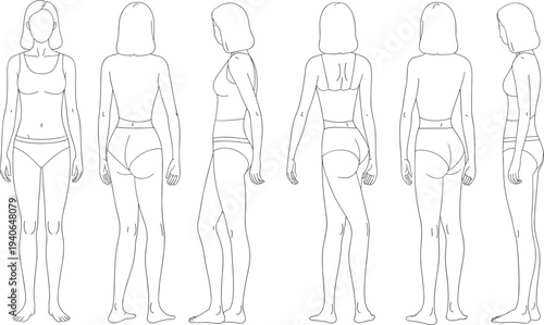 Human anatomy figure illustration, male and female body proportions study, flat vector