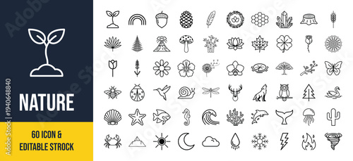 Diverse collection of icons representing various elements of nature and natural symbols