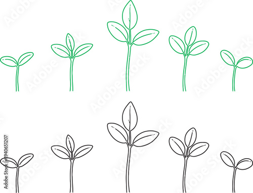 A comparative illustration of plant growth stages in dual color schemes