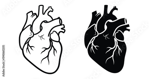 anatomical human heart icon set with realistic details showing aorta veins and arteries in black outline and solid silhouette style for medical design
