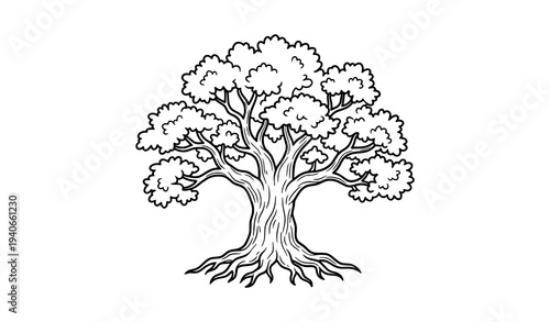 Stylized single oak tree vector illustration with wide canopy and strong roots on white