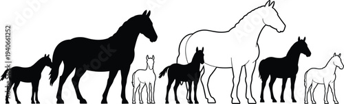 Horse silhouettes collection with foal and adult horses in different poses black and white farm animal vector illustration set