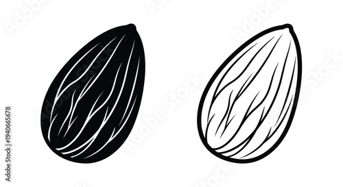 Two almonds shown in a simple black and white line art style