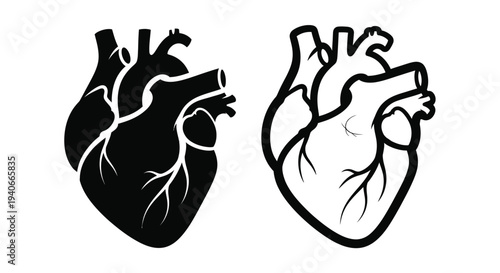 Anatomical illustration depicting a human heart in two contrasting styles