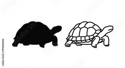 Two turtles depicted in contrasting black and white styles