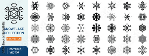Snowflake Vector Collection, Decorative Winter Snowflakes, Geometric Ice Crystal Icons, Frozen Holiday Ornament Elements