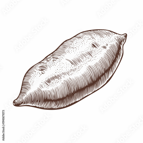An illustration depicts a detailed leaf with prominent veins and edges.