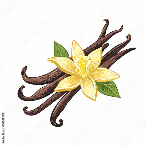 The fragrant vanilla pods and yellow orchid flower arrangement on a white surface