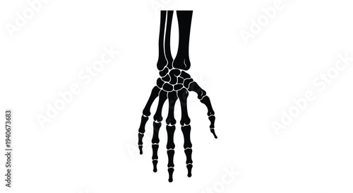 Anatomy of a human hand a skeletal illustration in black and white
