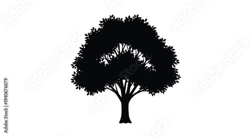Silhouette of a dense rounded tree against a stark white background