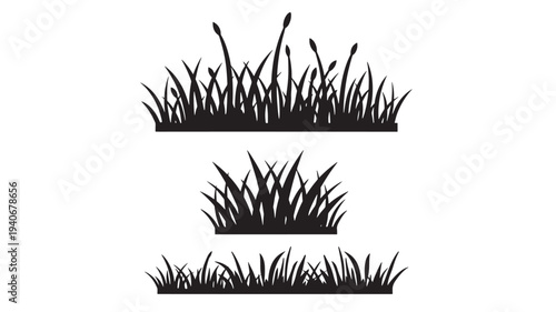 Grass silhouettes set with three distinct arrangements of blades and bulbed stalks on a white background, vector illustration