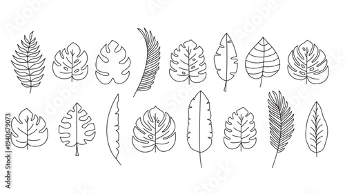 Leaves minimalist hand drawn line art set featuring monstera, fern, and palm fronds on white background.