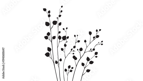 Branch silhouette with many leaves and buds in black, isolated on a white background with graceful curves.