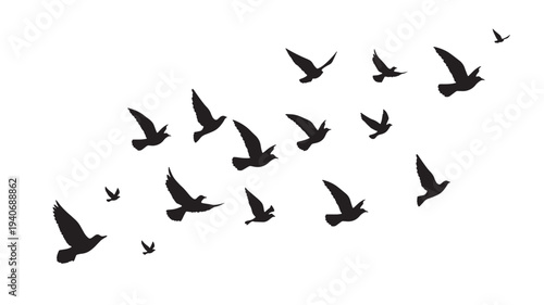 Flock of black silhouette birds flying across a white background, showcasing avian freedom and migration patterns.