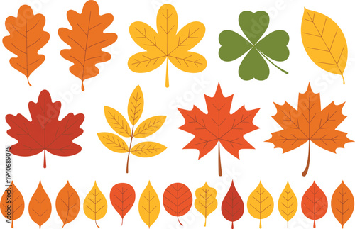 Set of colorful autumn leaves of various trees in flat style with outline vector illustration for nature designs.